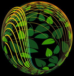 爱游戏体育官网-未来青训：生态系统构建助推足球强国梦，足球生态系统建设